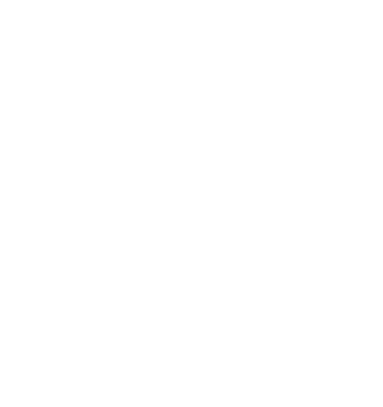 木の枝のイラスト 白
